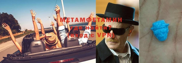 прущие грибы Касимов