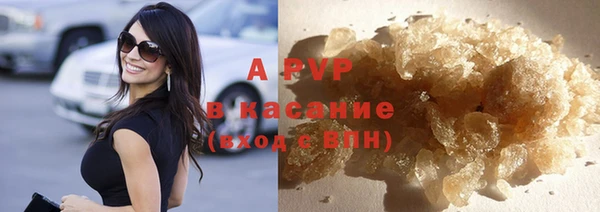 прущие грибы Касимов
