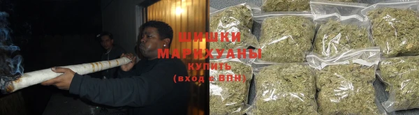 прущие грибы Касимов