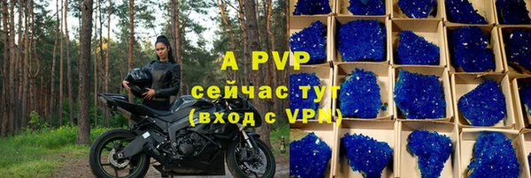 прущие грибы Касимов